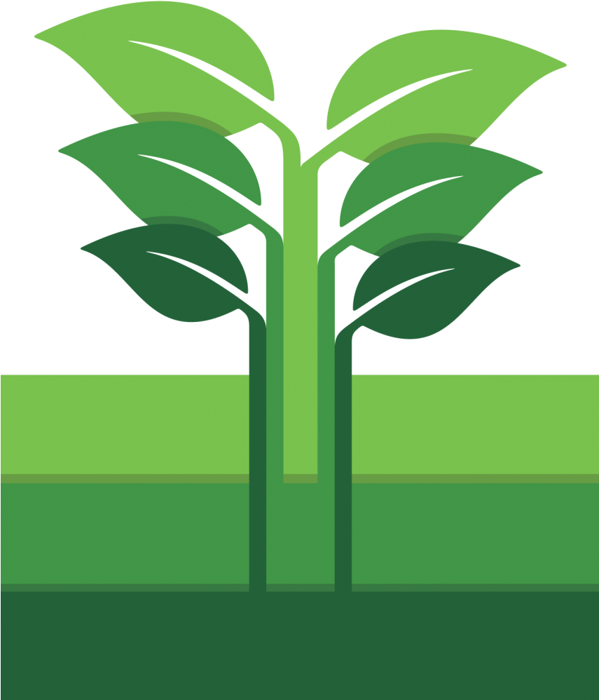 Respect Food & Reduce Food Waste - Food - Transparent PNG Free Download