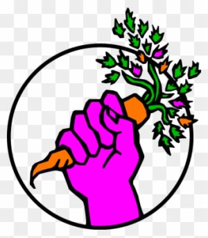 Food - Food Not Bombs - Transparent PNG Free Download