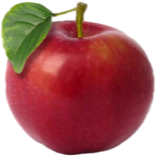 Unfrosted: Get Real About Food And Fitness - Transparent PNG Free Download