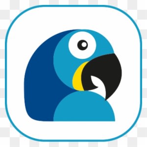 Macaw - Aero - Food Components - Transparent PNG Free Download