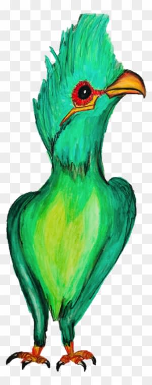 Slimming Green Organic Tea Bird Tea - Organic Food - Transparent PNG Free Download