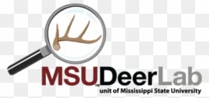 Once - Food Plot - Transparent PNG Free Download