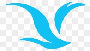 Picture - Unmanned Aerial Vehicle - Transparent PNG Free Download