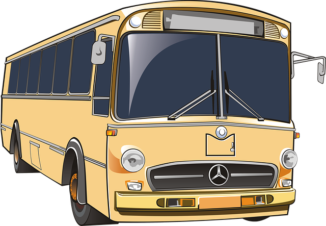 Vehicles, Vehicle, Bus, Coach, Automobile, Truck - Vehicle - Transparent PNG Free Download