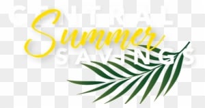 Search For Vehicles - Zazzle Blatt-plakat-kunst-bild Poster - Transparent PNG Free Download