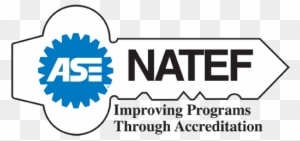 Does Your Vehicle Need Service - Natef Accreditation - Transparent PNG Free Download