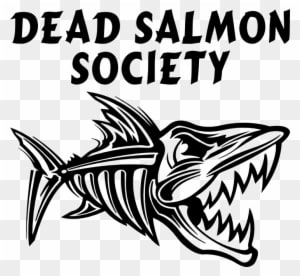 Best For Tinted Vehicle Windows, Black Sticker - Fish Skeleton Draw - Transparent PNG Free Download