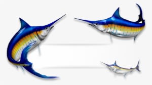 Marlin Fish - Recreational Vehicle - Transparent PNG Free Download