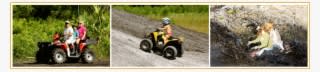All-terrain Vehicle - Transparent PNG Free Download