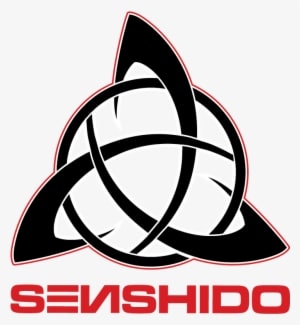 As Time Went On, Senshido Evolved Further When It Started - Shredder Self Defense - Transparent PNG Free Download