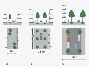 Informal Tree-planting To Guide And Slow Down Vehicles - Street - Transparent PNG Free Download