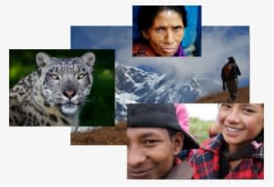 Pangje Foundation's Programs Are Geared To Not Only - Wildlife Heritage Foundation - Transparent PNG Free Download