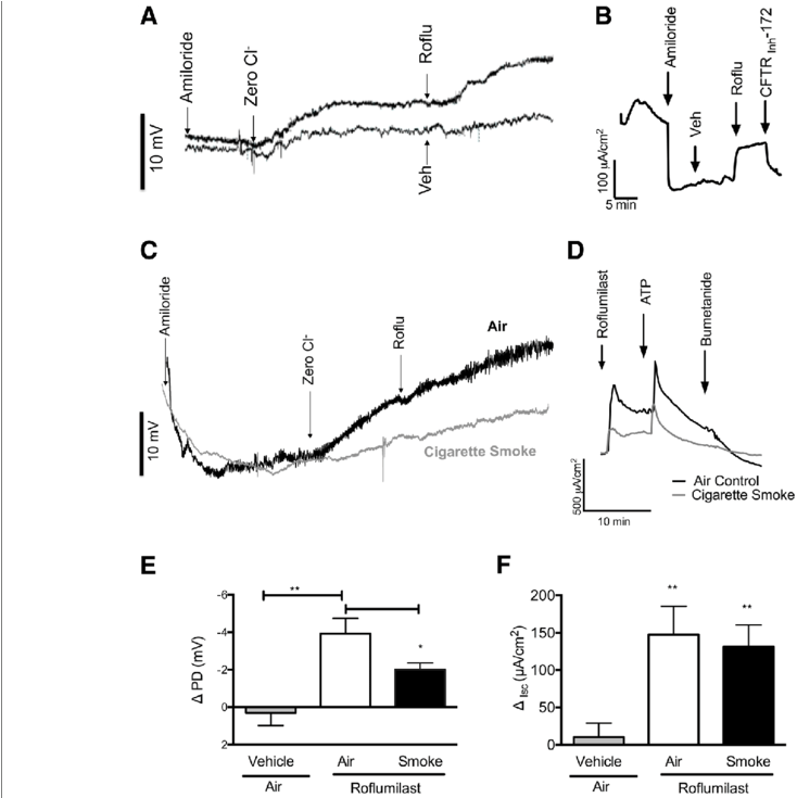 Effect Of Acute Roflumilast Perfusion In Normal And - Fig.1 - Transparent PNG Free Download