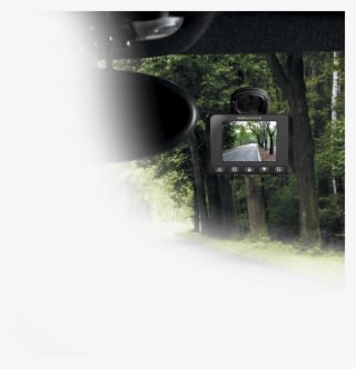 The Recneo Full Hd Is An Automatic And Autonomous On-board - Tree - Transparent PNG Free Download