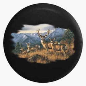 Vehicles - Transparent PNG Free Download