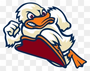 Stevens Womens Field Hockey Data - Stevens Institute Of Technology Athletics - Transparent PNG Free Download