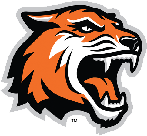 Primary Logo - Rochester Institute Of Technology Mascot - Transparent PNG Free Download
