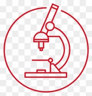 Strength In Science - Science Technology And Health - Transparent PNG Free Download