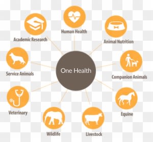 The Voyce Health - Health Technology - Transparent PNG Free Download