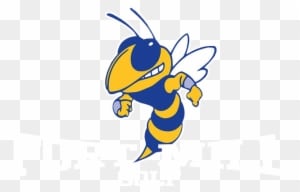 Please Plan To Join Me And The Fort Mill High Golf - Georgia Institute Of Technology - Transparent PNG Free Download