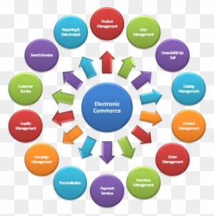 Ecommerce Website Services - Field Of Information Technology - Transparent PNG Free Download