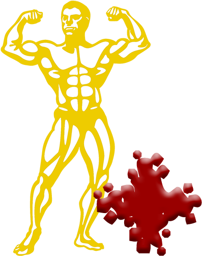 Skinfold Body Fat - Fashion Institute Of Technology - Transparent PNG Free Download