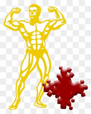 Skinfold Body Fat - Fashion Institute Of Technology - Transparent PNG Free Download