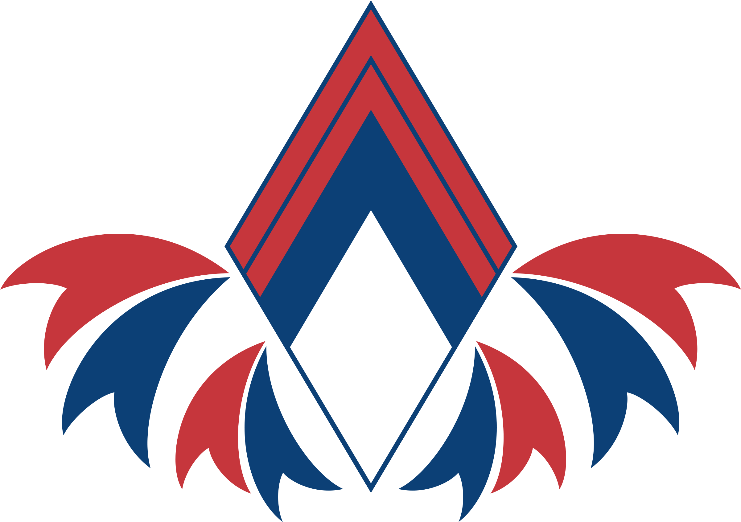 Kingdom Of Soarbia Emblem By Snowcat93 Kingdom Of Soarbia - Technology Safety - Transparent PNG Free Download