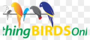 Pipetechs Plumbing Technologies Llc. - Transparent PNG Free Download