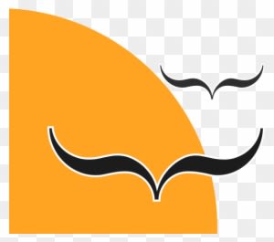 Freedom - Open Technologies Alliance (gfoss) - Transparent PNG Free Download