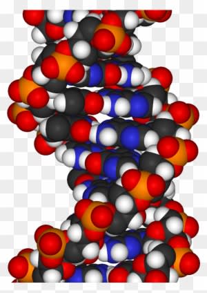 Dna - Encyclopedia Of Bioscience, Technology And Engineering - Transparent PNG Free Download