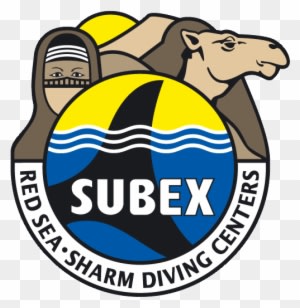 Contact - Gat German Automotive Technology - Transparent PNG Free Download