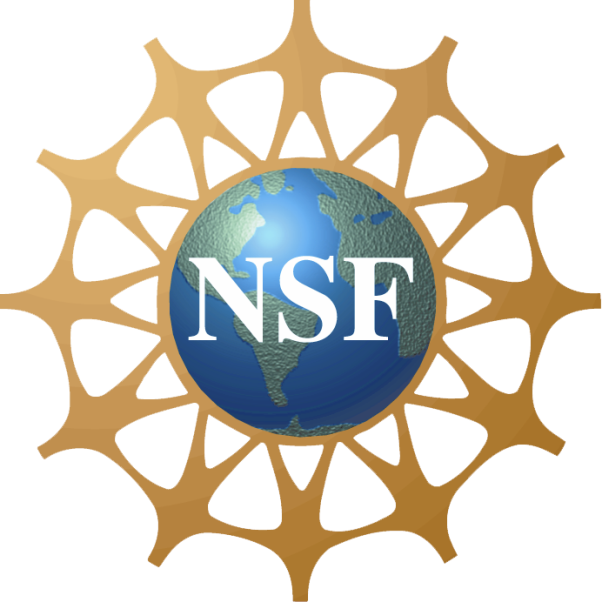 Electronics & Computer Engineering Technology - Nsf Logo Transparent Background - Transparent PNG Free Download