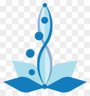 Ann Conn Rejuvenates Your Lumbar Spine Today With Tomorrow's - Lumbar - Transparent PNG Free Download