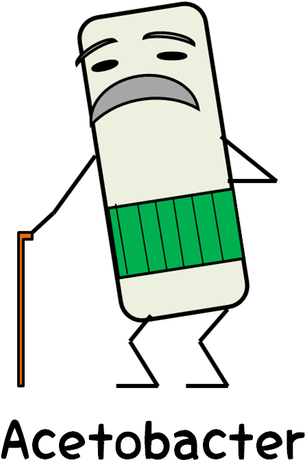 The Big Issue Is To Product Cellulose - The Big Issue Is To Product Cellulose - Transparent PNG Free Download