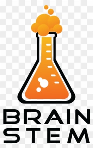 Technology, Engineering, And Math While Having Fun - International Brain Bee - Transparent PNG Free Download