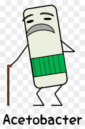 The Big Issue Is To Product Cellulose - The Big Issue Is To Product Cellulose - Transparent PNG Free Download