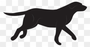 Labrador Technologies - Website - Transparent PNG Free Download