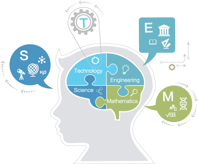 The Role Of Science Technology Engineering And Math - Illustration - Transparent PNG Free Download