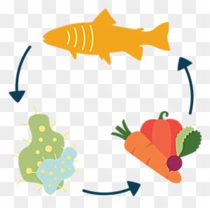 Fsd-succeed Program Enriches Existing Youth Programs - Fsd-succeed Program Enriches Existing Youth Programs - Transparent PNG Free Download