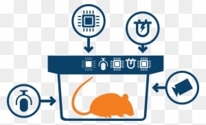 Partners Have The Opportunity To Influence, Shape, - Partners Have The Opportunity To Influence, Shape, - Transparent PNG Free Download