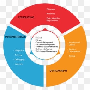 System Soft Technologies' Has Experience In The Development - Digital Marketing Campaign Examples - Transparent PNG Free Download