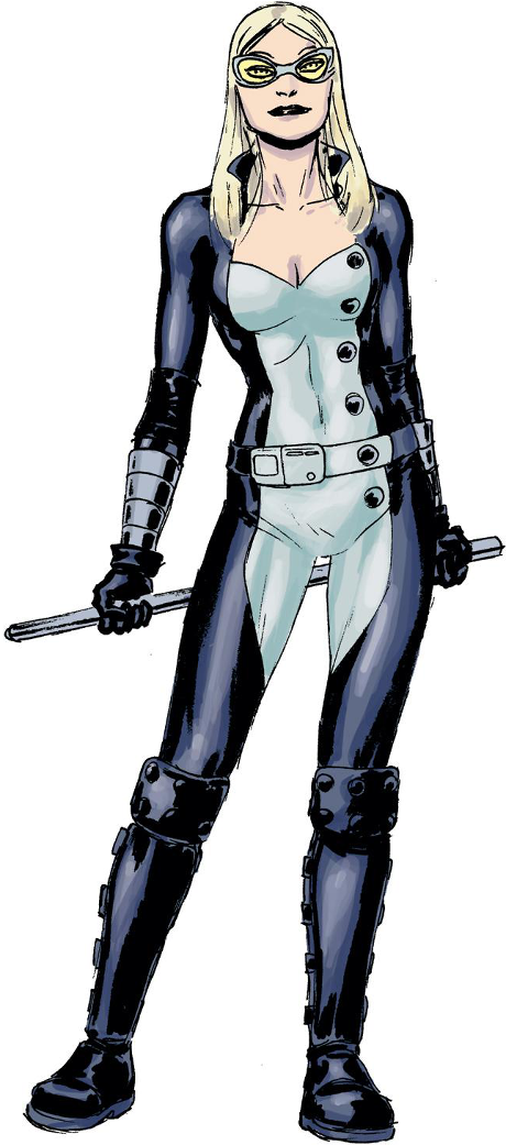 Next To Be Featured On Marvel's Agents Of Shield - Mockingbird Marvel Agents Of Shield - Transparent PNG Free Download