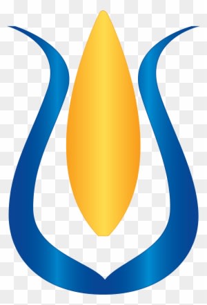 Aquatrols Seed Enhancement Technology Granted Patent - Seed Enhancement - Transparent PNG Free Download