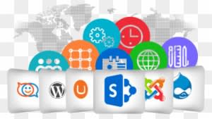 Over A Decade We Have Built A Reputation Of Being The - Cms - Transparent PNG Free Download