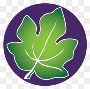 Figtree Technology - Tree - Transparent PNG Free Download