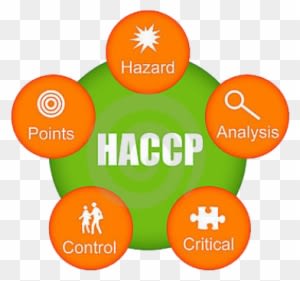 Food Technology Coursework Haccp Food Technology Coursework - Haccp - Transparent PNG Free Download