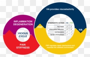 Technology Cellular Matrix Prp Ha A Cp Rh Regenlab - Circle - Transparent PNG Free Download