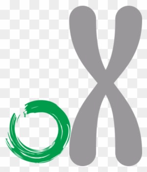 Vivebiotech´s Technology Development Strategy Is Focused - In-style Decals Wall Vinyl Decal Home Decor Art Sticker - Transparent PNG Free Download