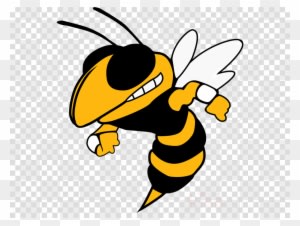 Oxnard Yellow Jackets Clipart Oxnard High School Georgia - Harpursville Hornets - Transparent PNG Free Download